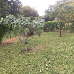 Bed & Breakfast San Giorgio Traversetolo